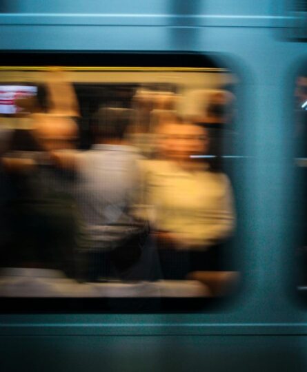 Gender in Transport Profiles