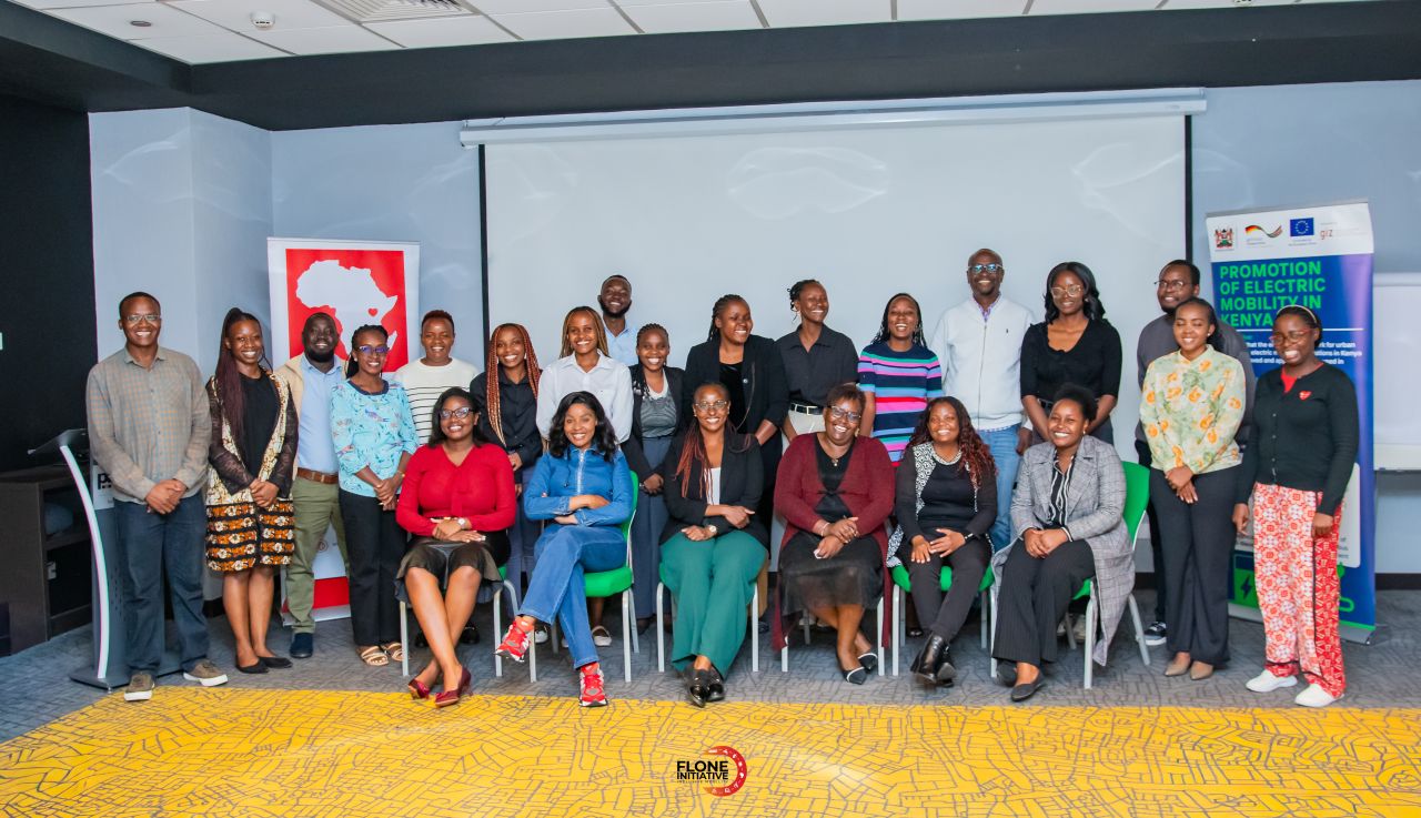 Women in E-mobility Network